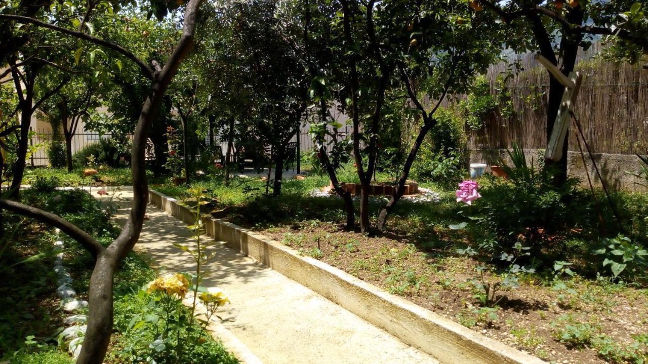 Apartamento Tea Kotor Exterior foto